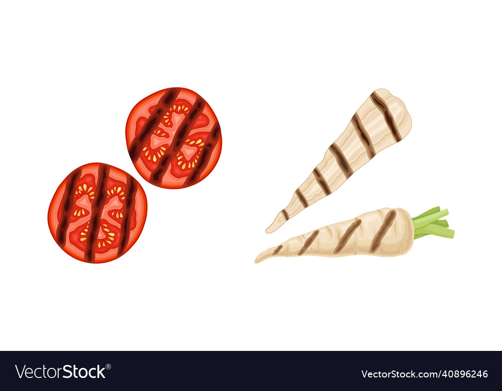 Grilled tomato and parsnip as cooked food vector image Grilled tomato and parsnip as cooked food