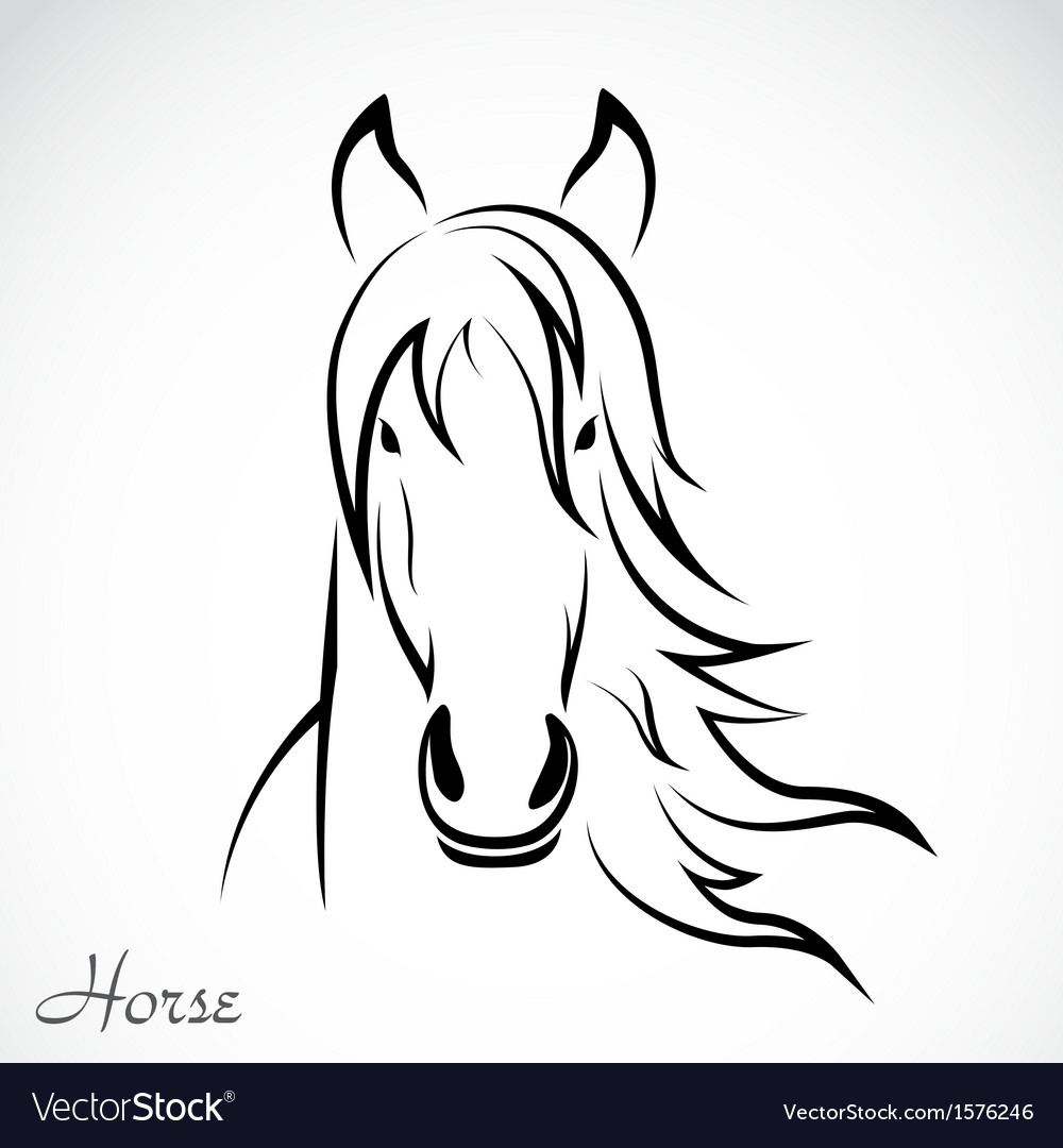 Download Horse Royalty Free Vector Image - VectorStock