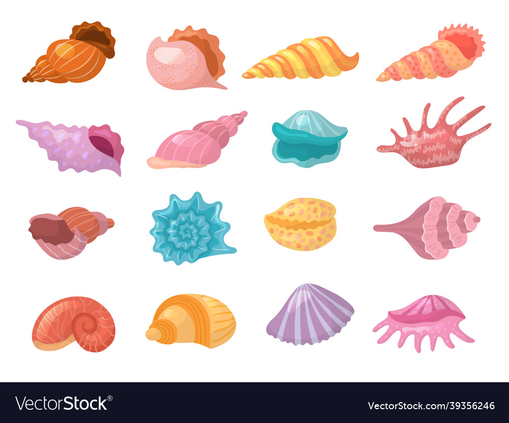 Seashells beach summer nature elements on sand Vector Image