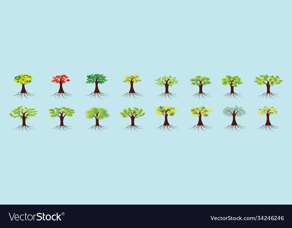 Set tree with roots in various models cartoon Vector Image Set tree with roots in various models cartoon