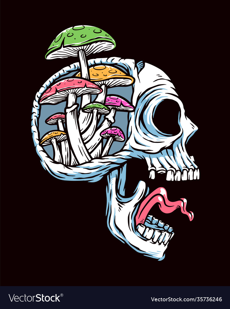 Skull and mushroom Royalty Free Vector Image VectorStock