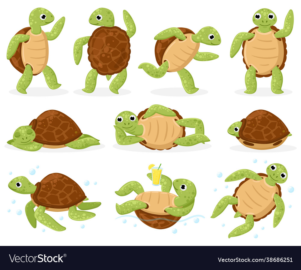 Cartoon turtle cute sea tortoise swimming Vector Image