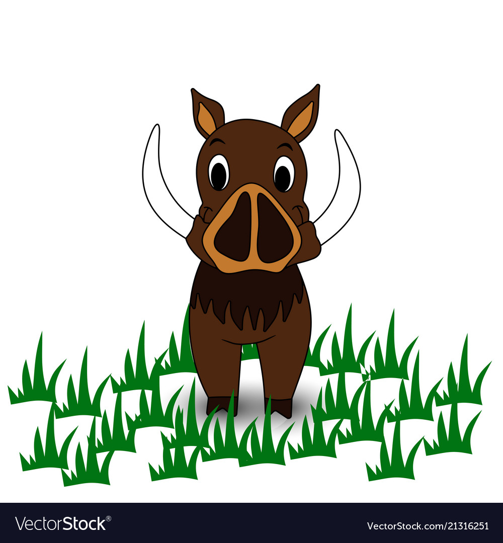 Wild Boar Portrait