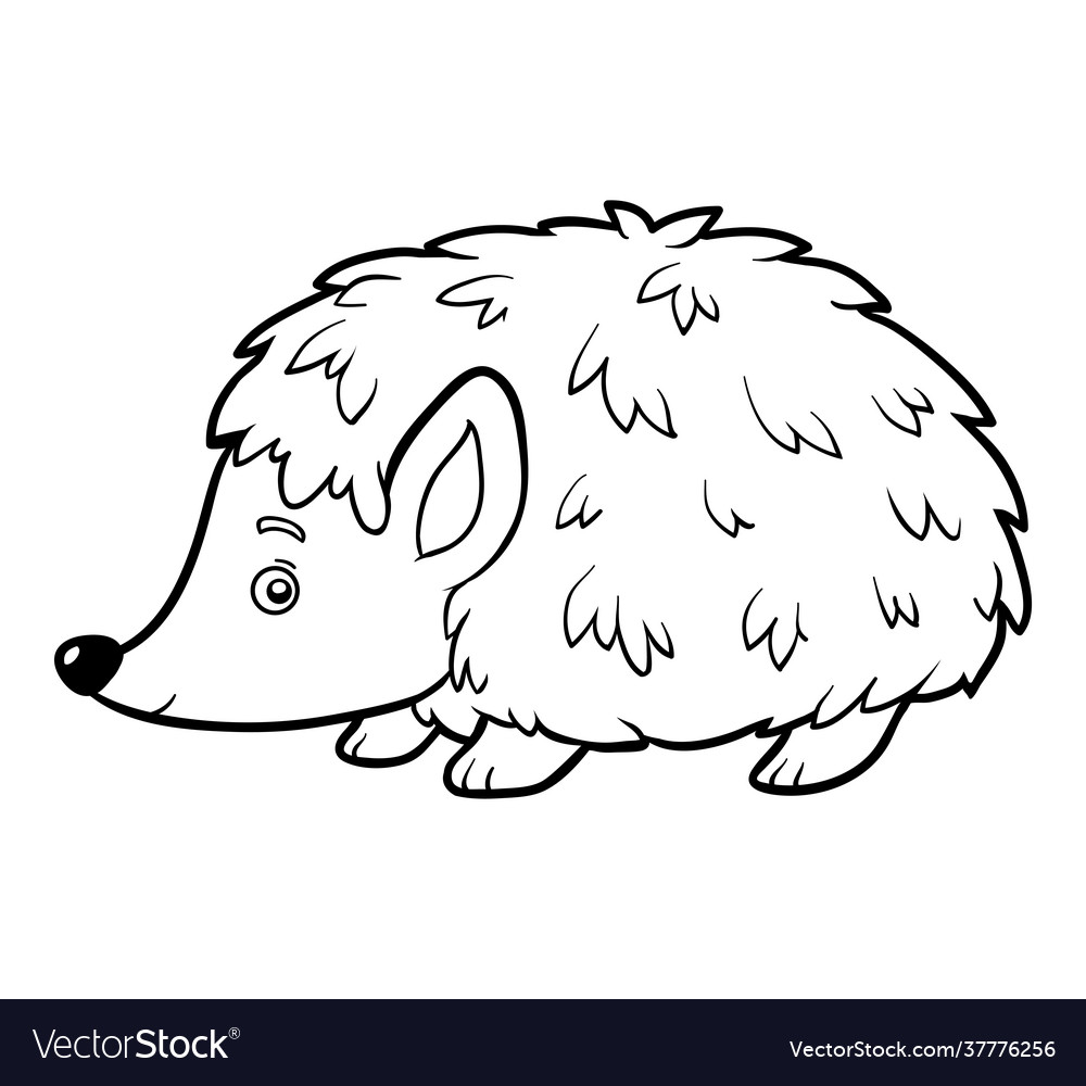 Coloring book hedgehog Royalty Free Vector Image