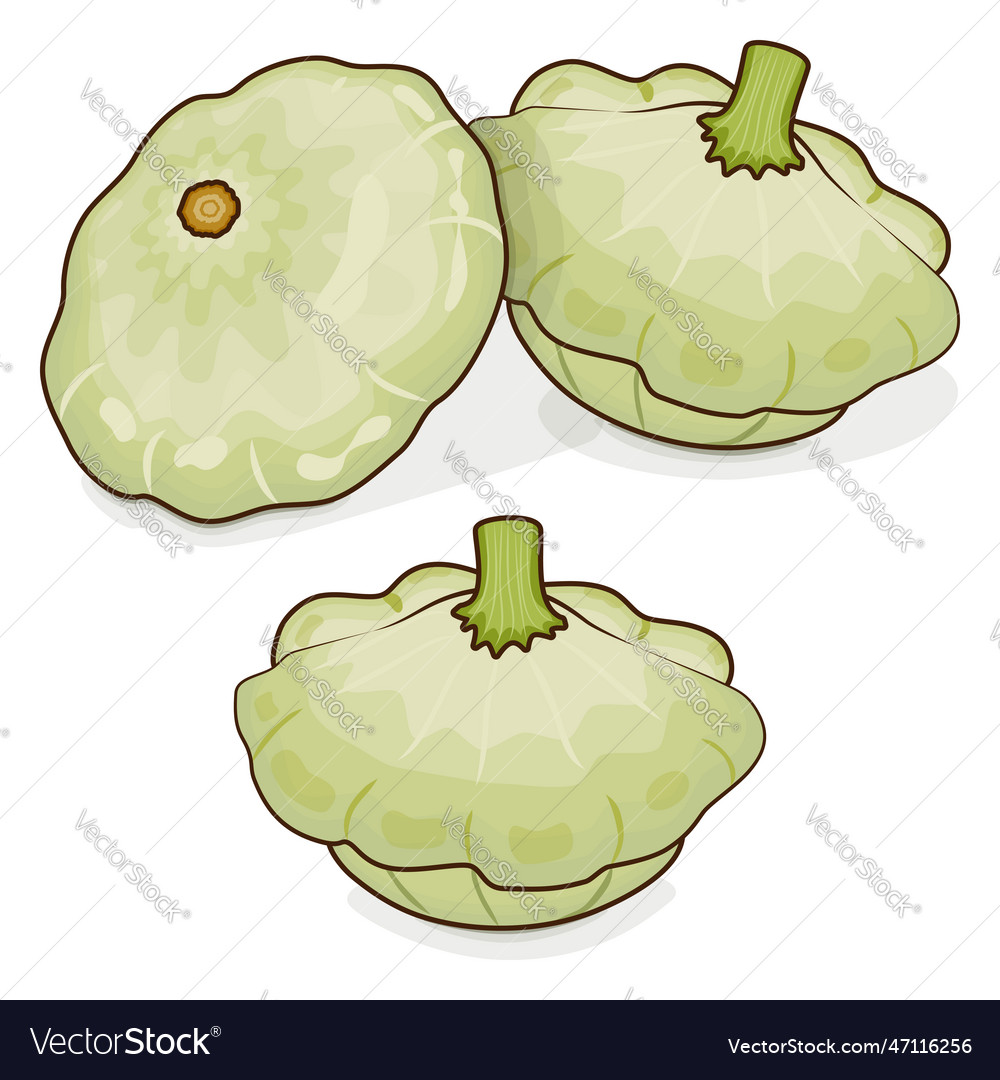 Group of white patty pan squash cartoon style