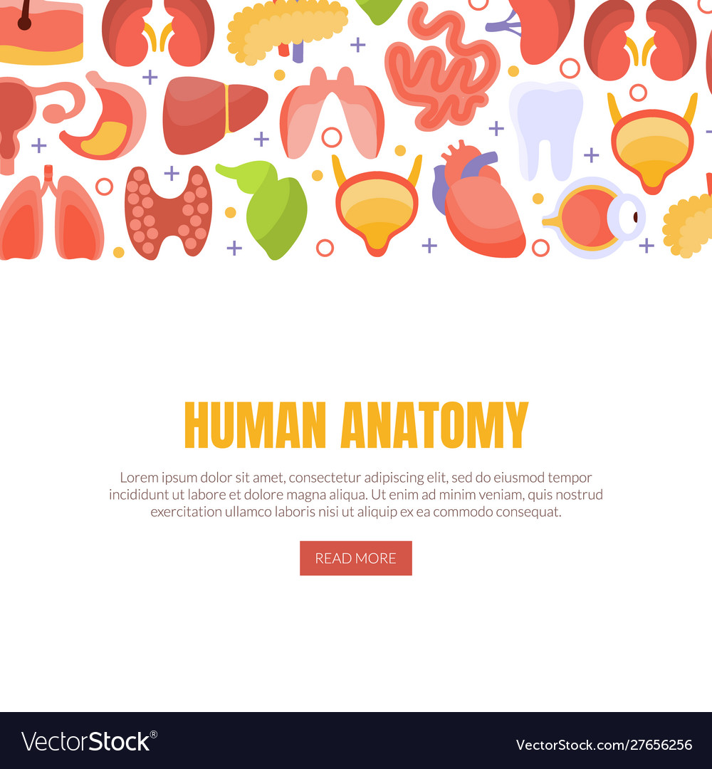 Human Anatomie Landing Page Vorlage mit interner