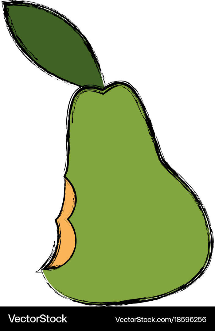 Pear delicious fruit Royalty Free Vector Image
