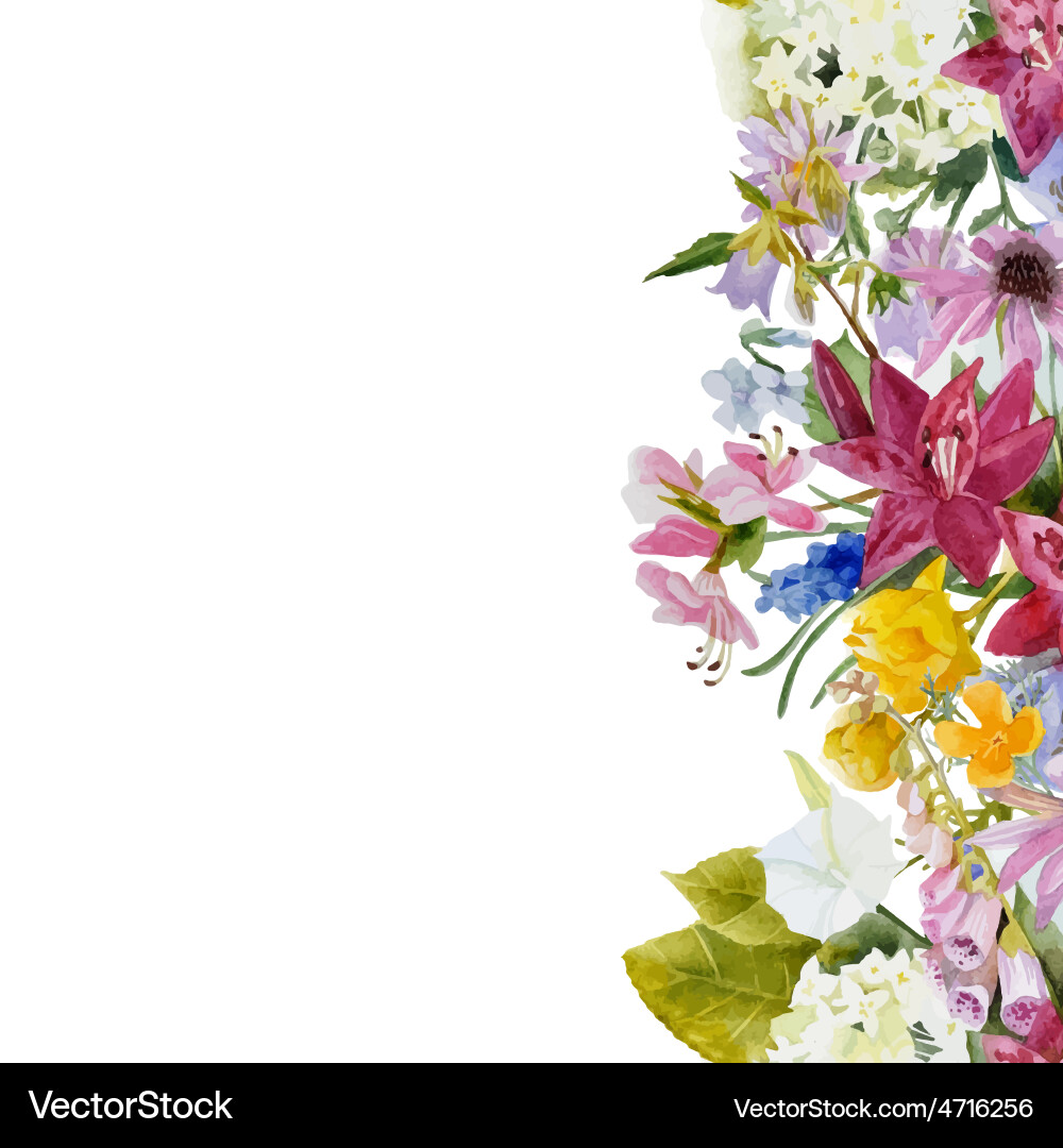 Watercolor floral seamless border Royalty Free Vector Image