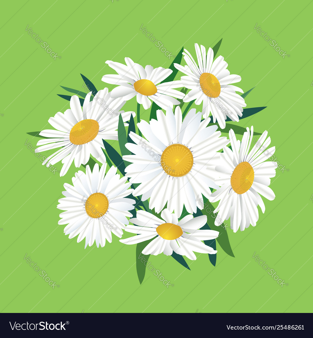 Flower bouquet floral frame flourish greeting