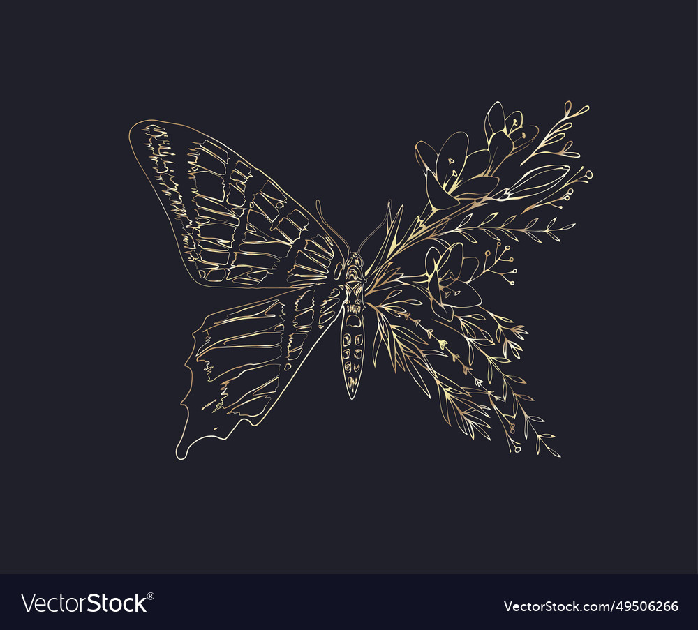 Half shape butterfly with branch and flowers Vector Image