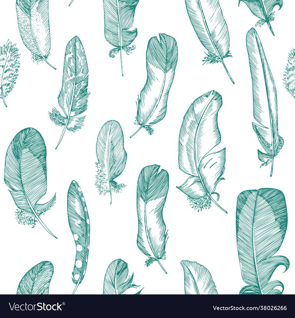 Seamless pattern realistic sketch bird feather