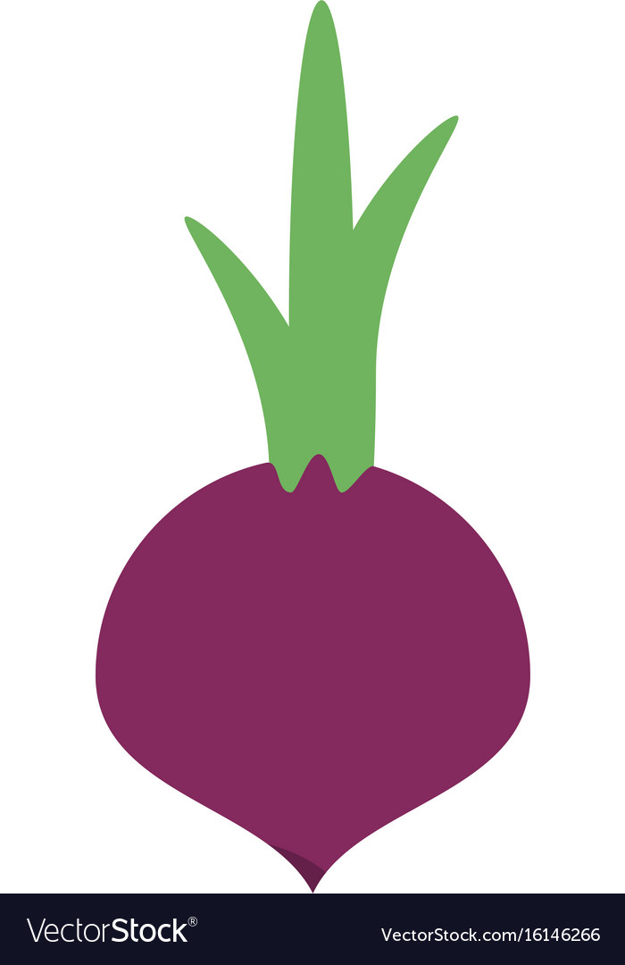 Vegetable icon image