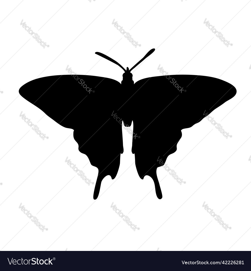 Beautiful butterfly in silhouette style on a white