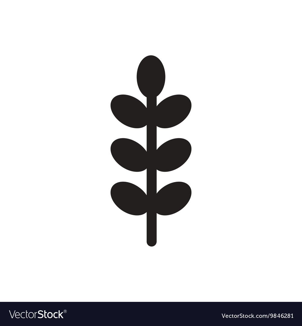 Black icon on white background tree leaf