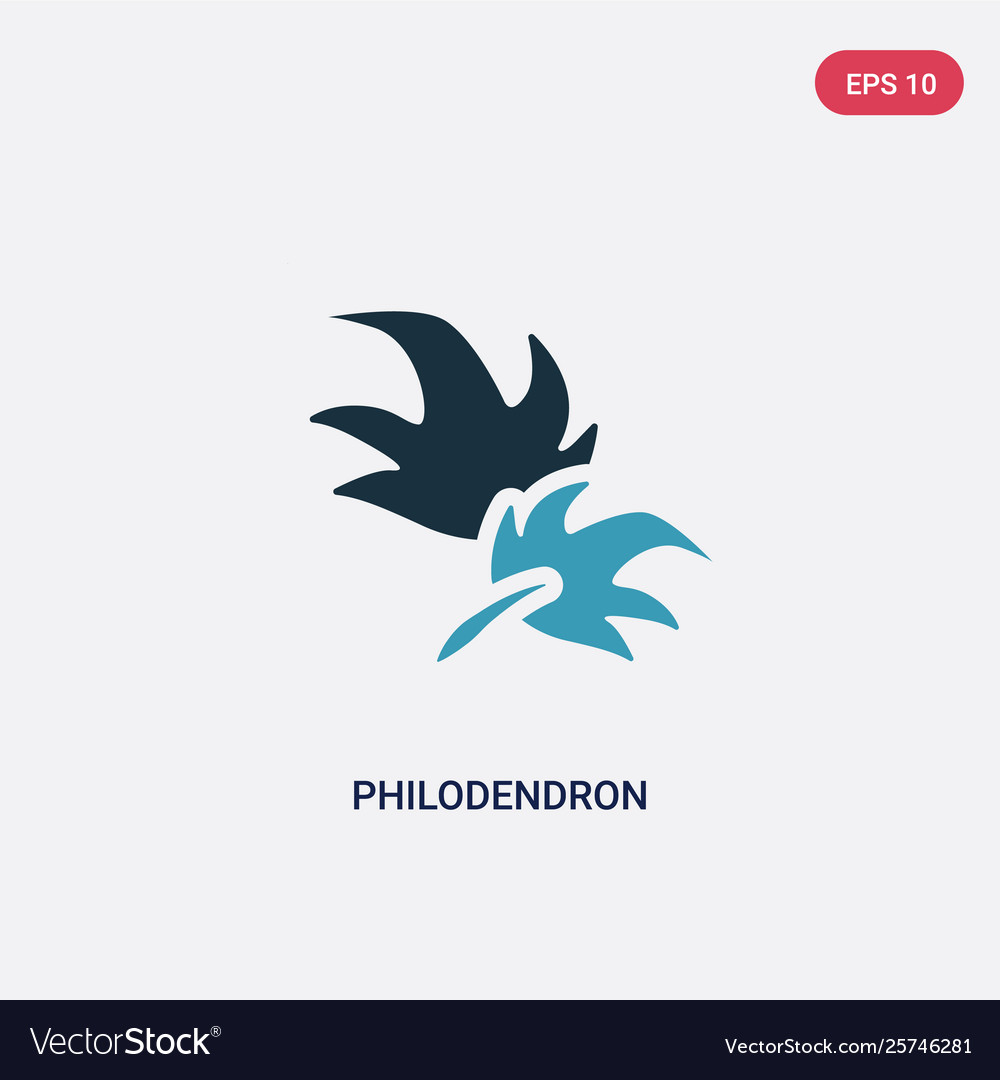 Two color philodendron icon from nature concept