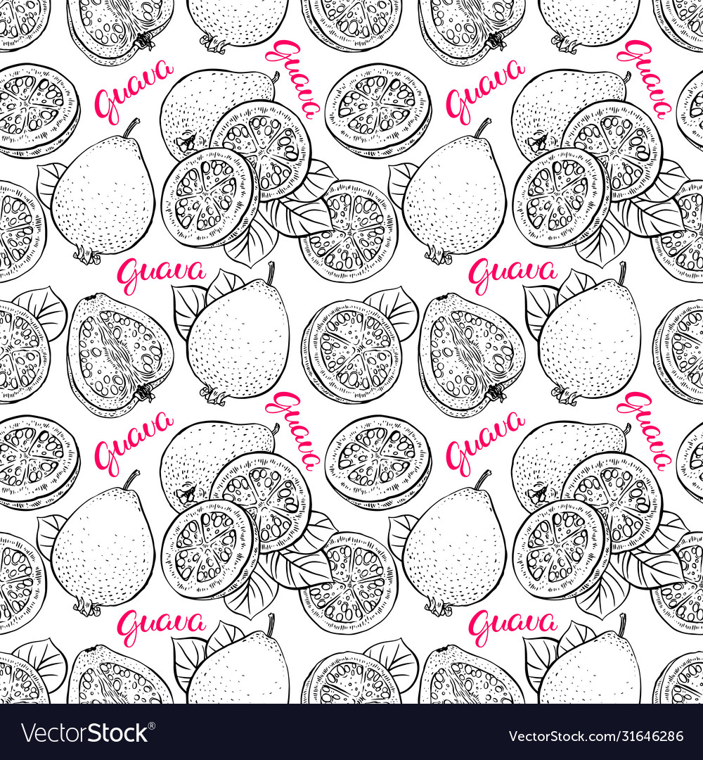 Seamless ripe sketch guava