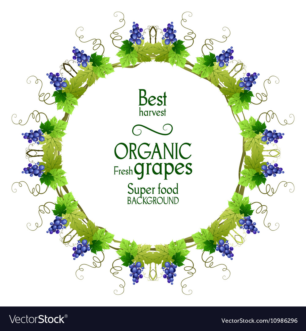 Elegant Grape Border