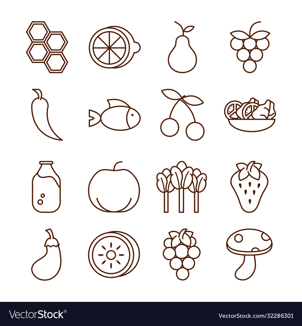 Healthy food fresh fruits vegetables and protein Vector Image