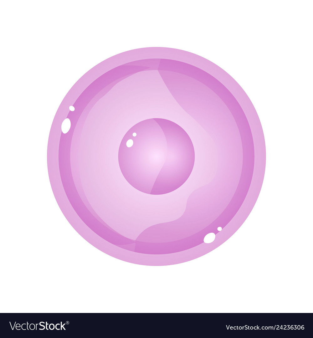 Pink latex condom top view protection element