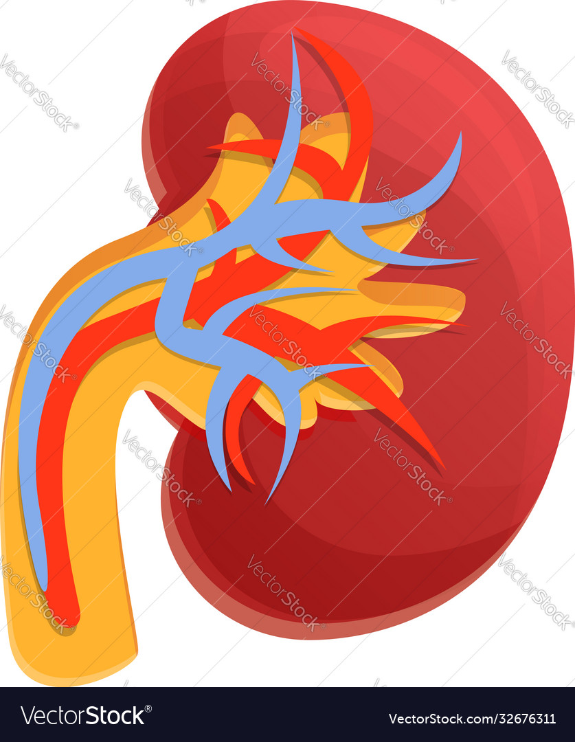 Dialysis kidney icon cartoon style Royalty Free Vector Image