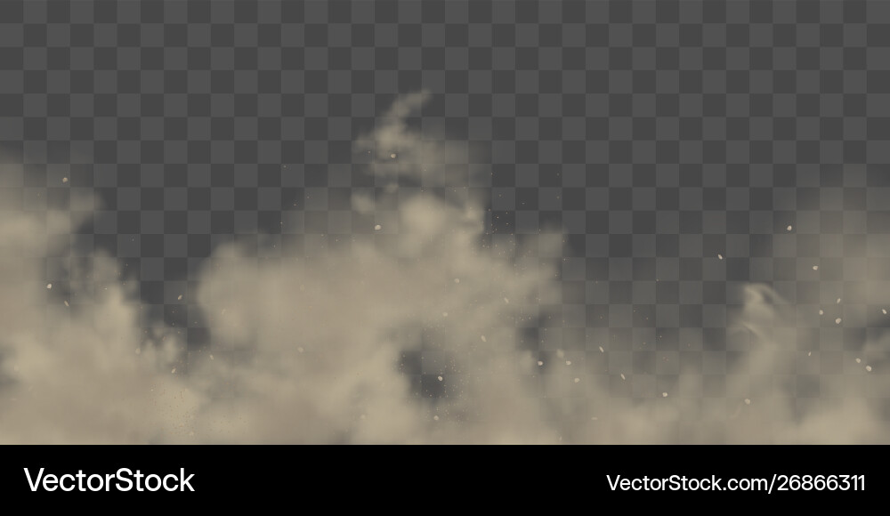 Dust cloud with soil particles realistic Vector Image