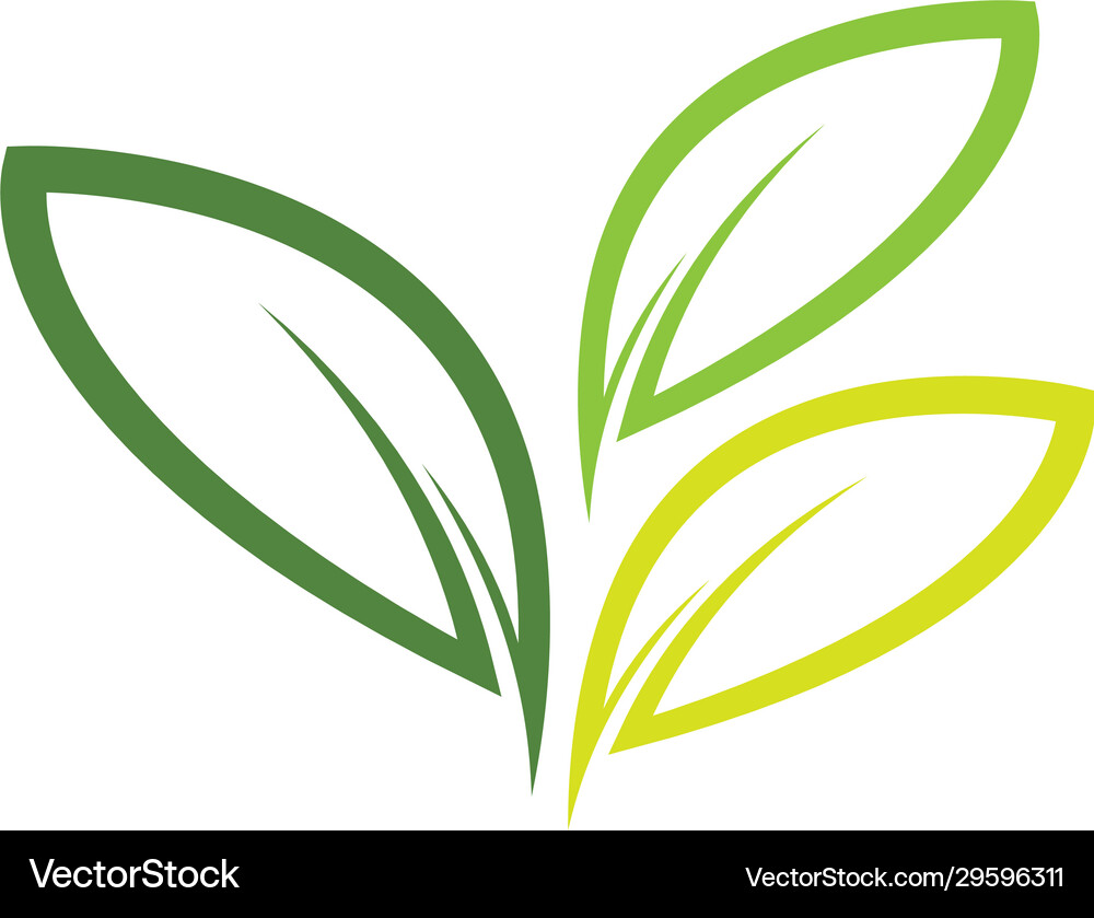 Leaf logo icon Royalty Free Vector Image - VectorStock