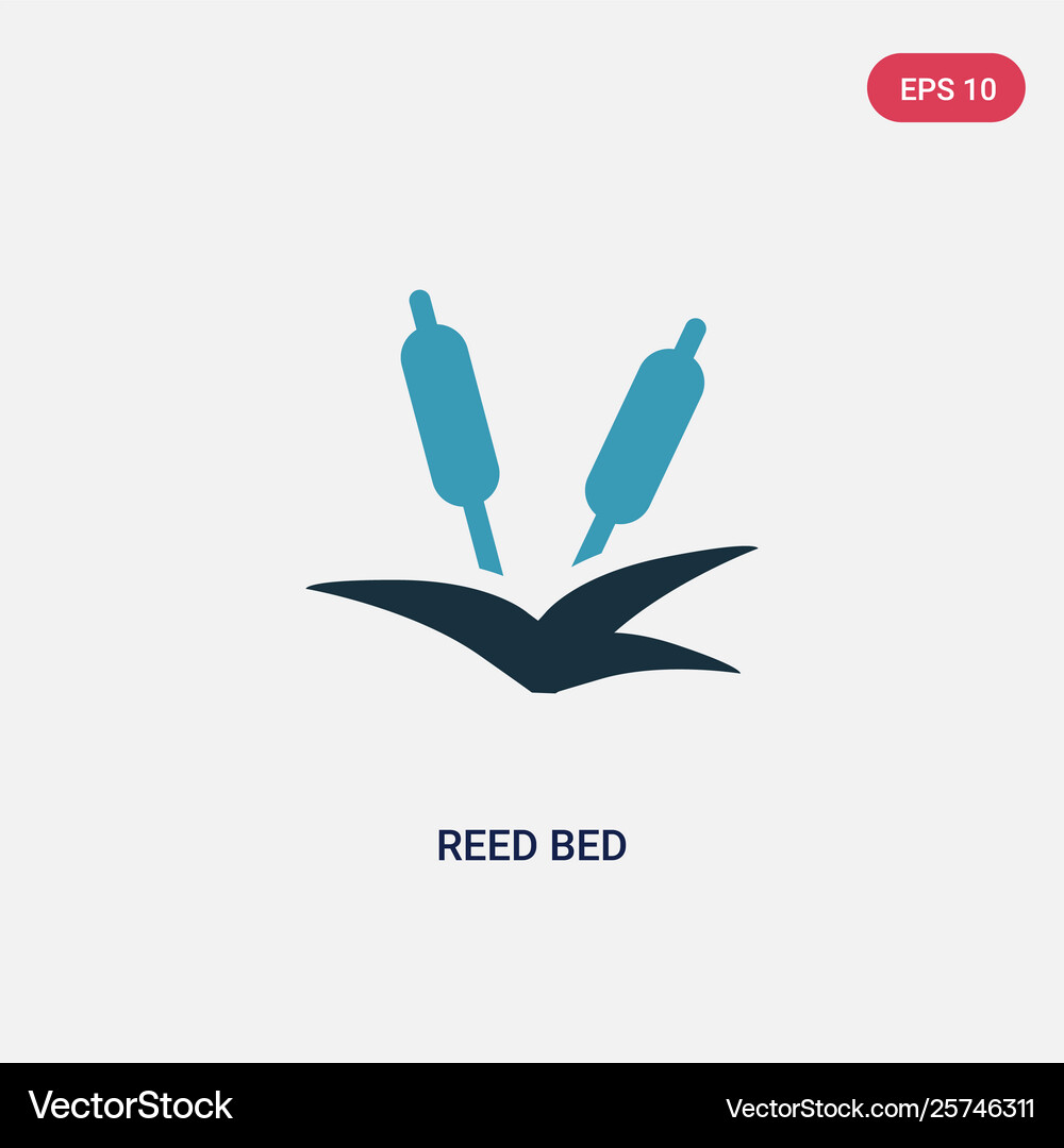 Two color reed bed icon from nature concept Vector Image
