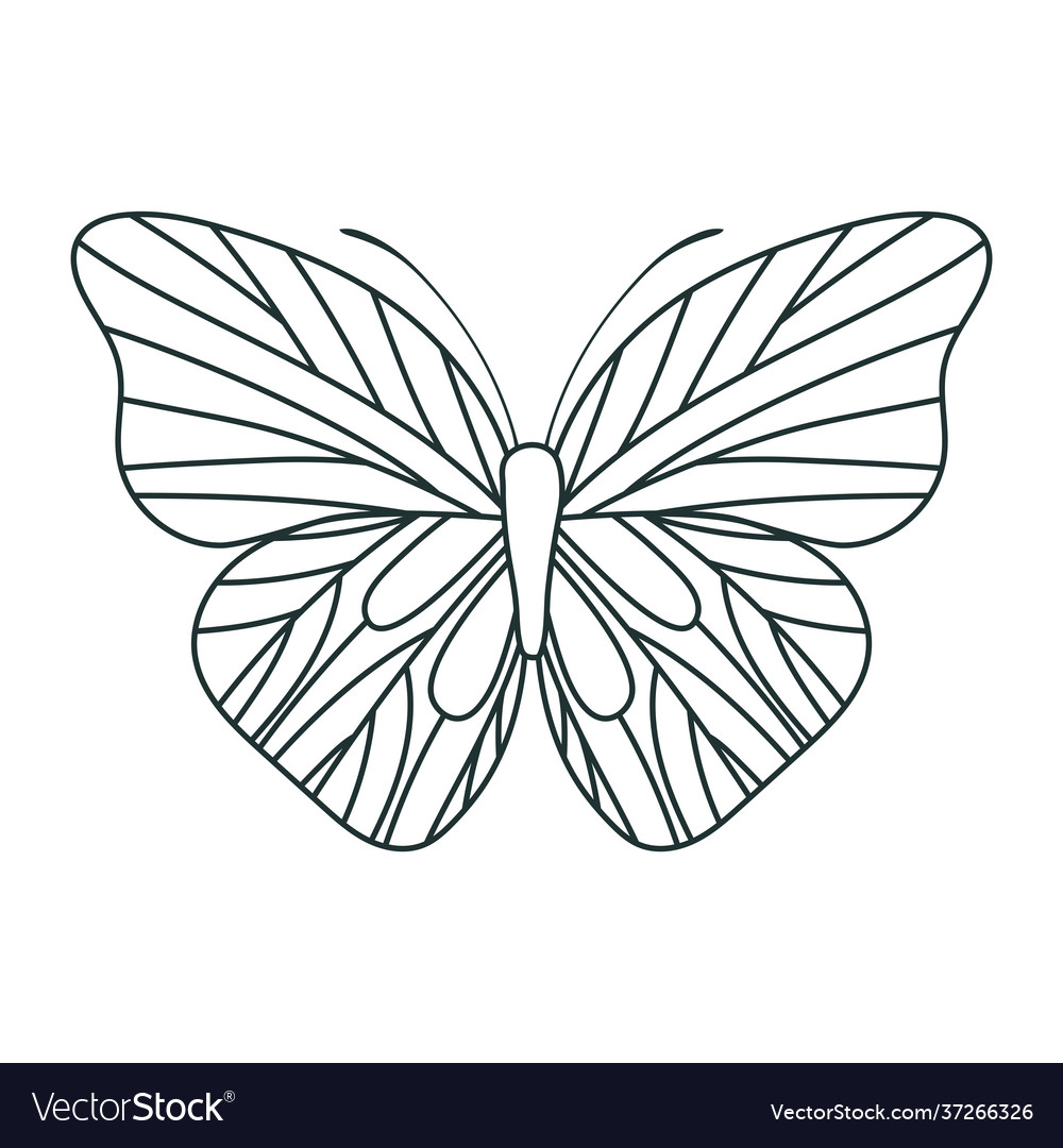 Beautiful butterfly icon