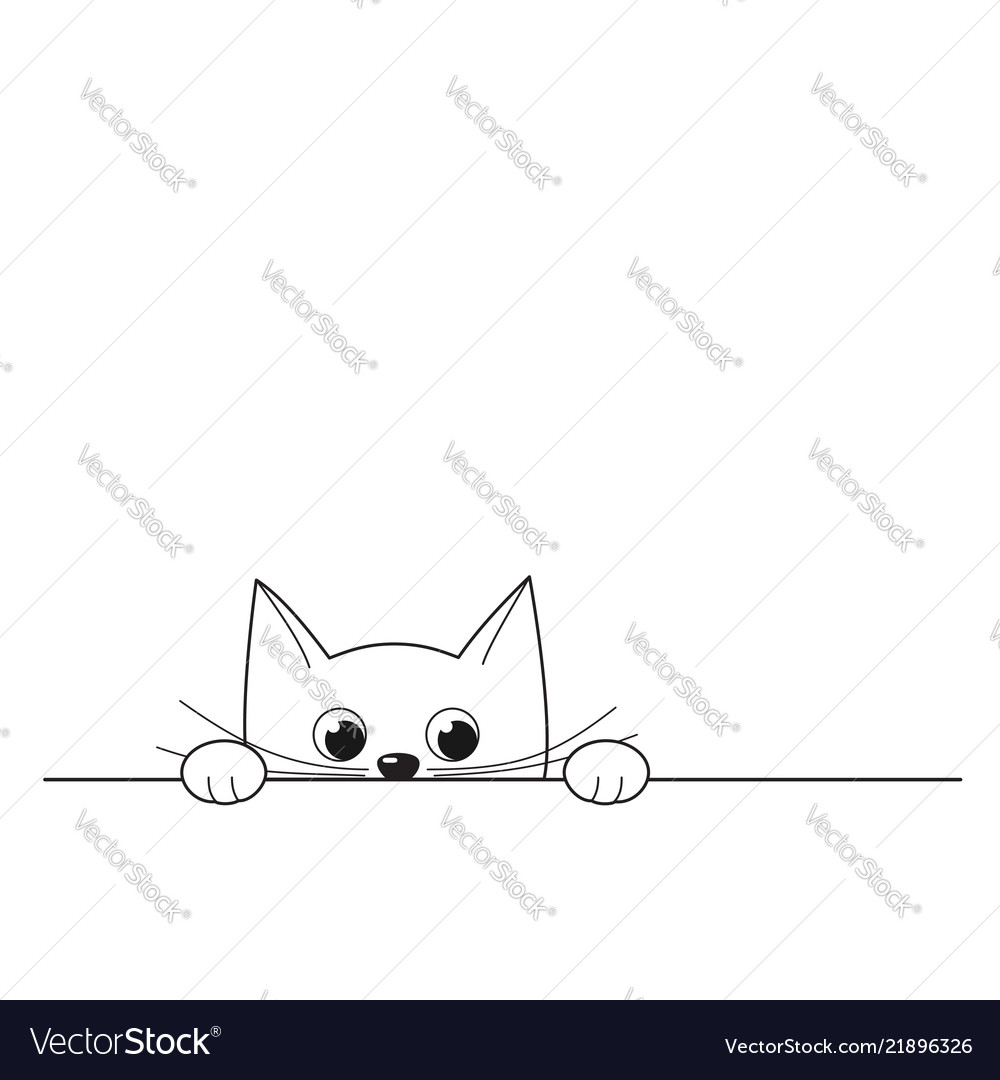 Cute peeking kitten isolated on white