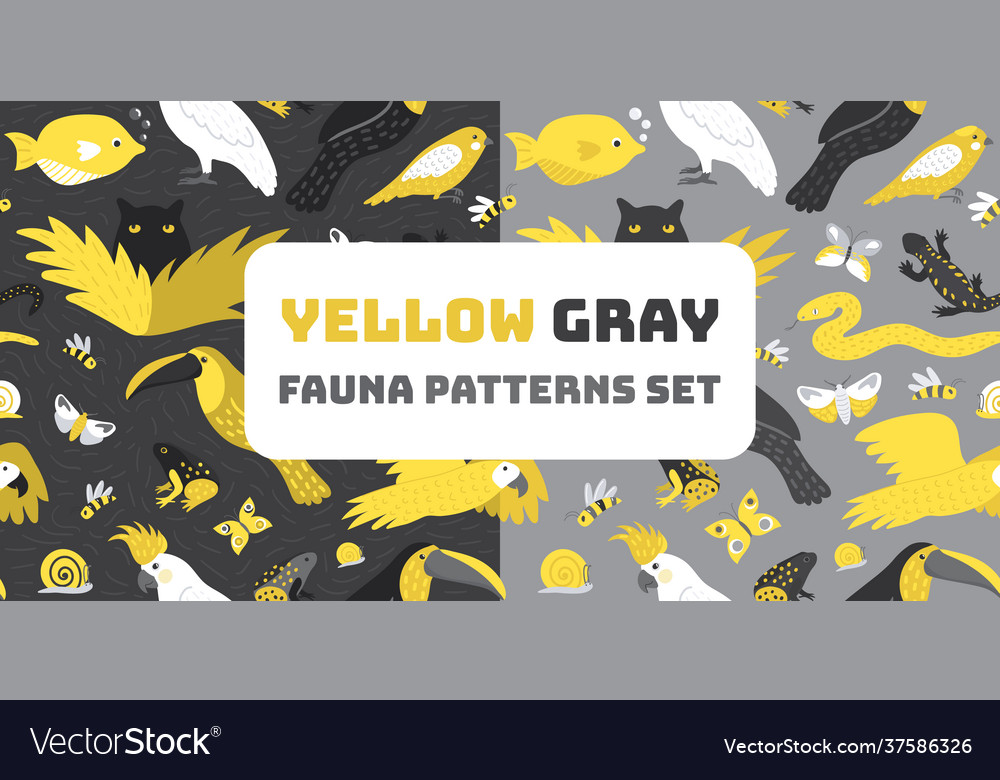 Patterns set with fauna wildlife