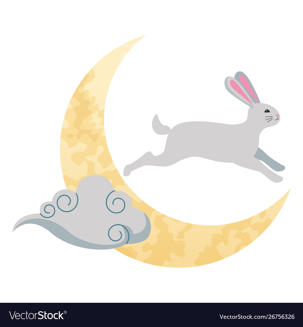 Rabbit on moon with cloud