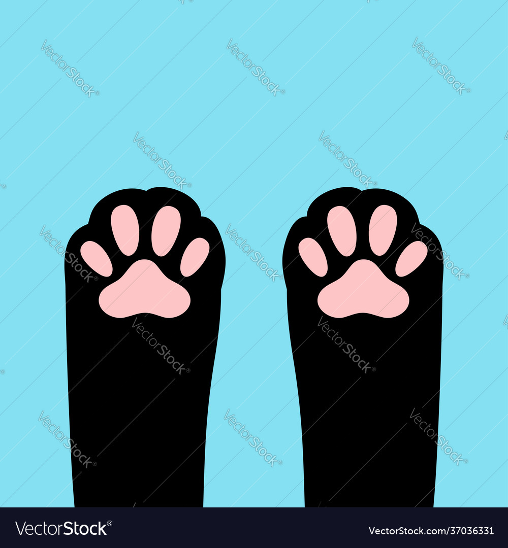 Cat paw foot print leg kitten footprint icon cute