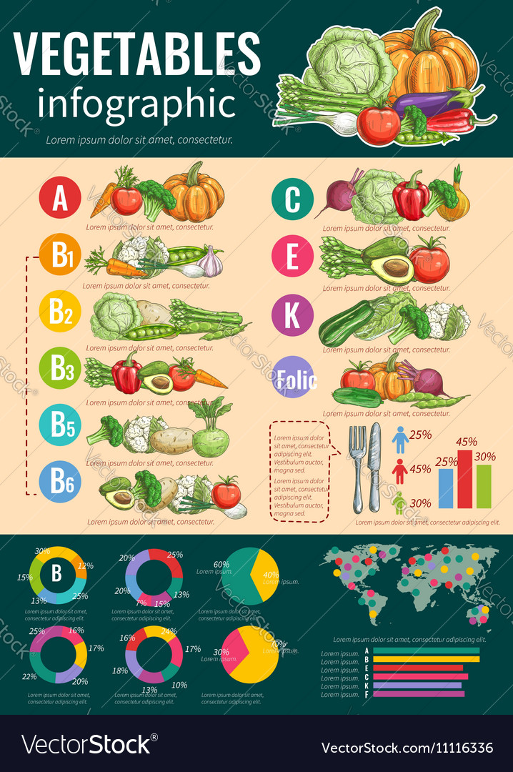 Vegetable Nutrition Chart