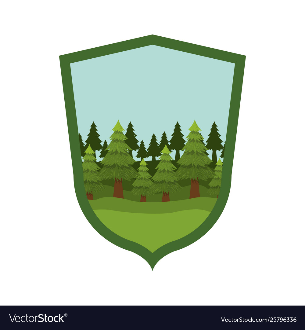 Isolated pine trees inside shield label design