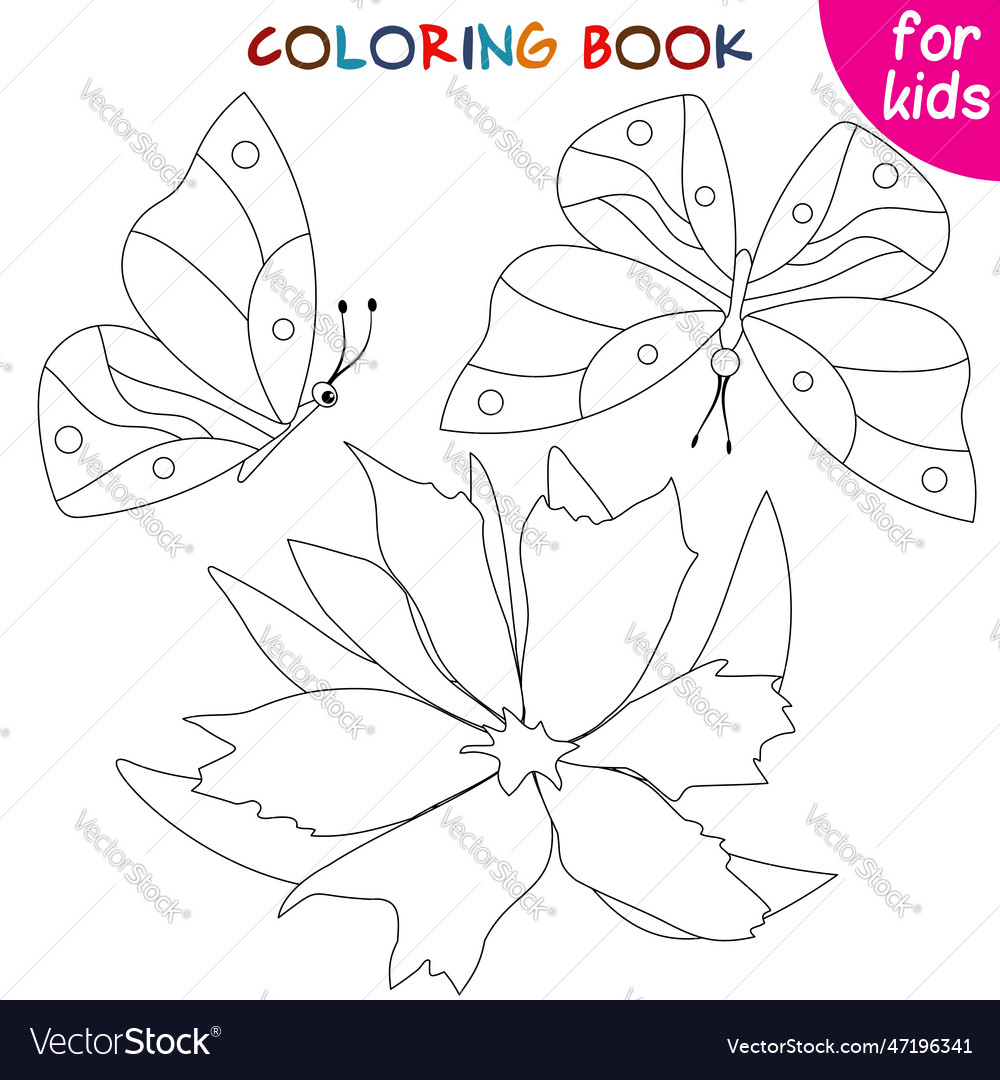 Butterflies collection flutter over