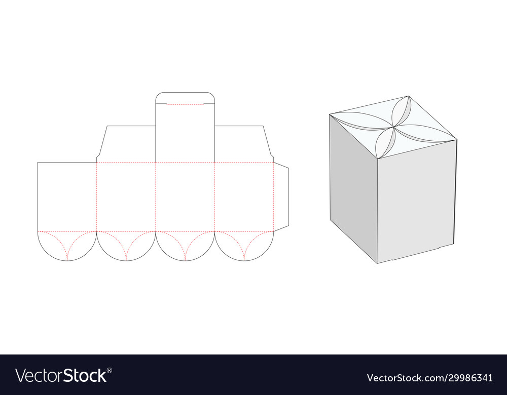 Lockable rectangle shaped packaging box die cut Vector Image