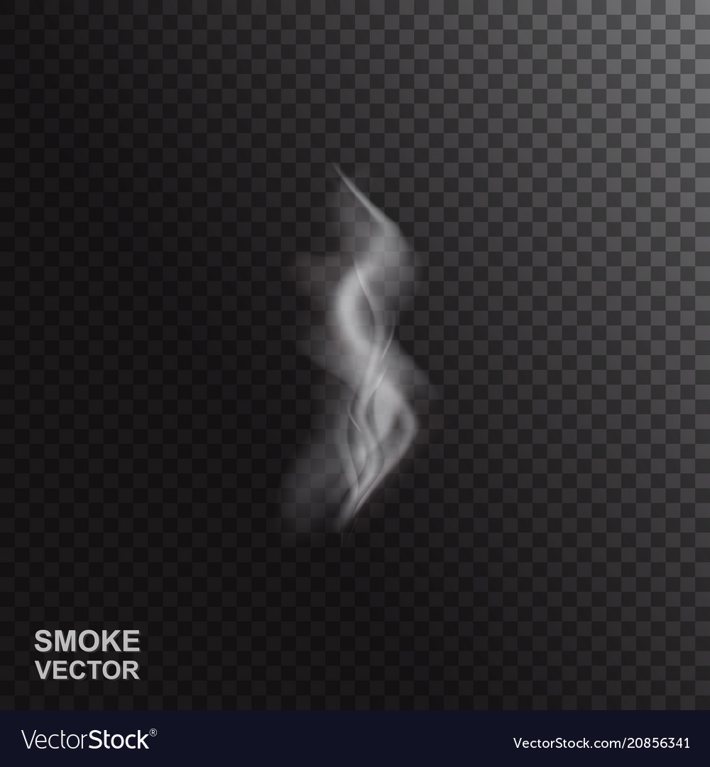 Realistic smoke or steam Royalty Free Vector Image