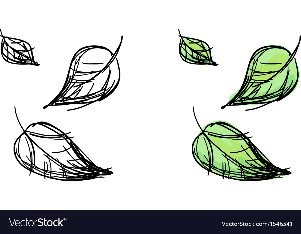 10 Leaf Drawing Step by Step Tutorials - Smiling Colors