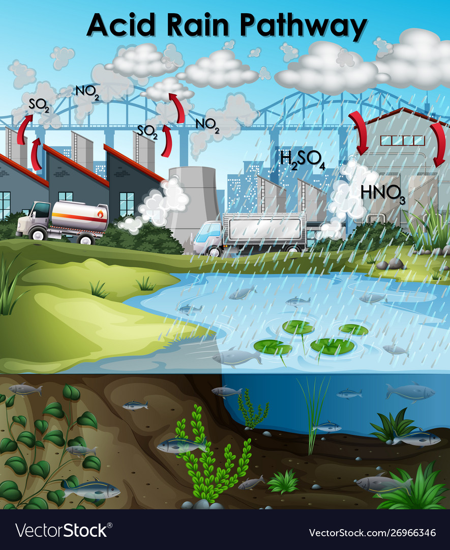 Acid rain diagram with buildings and water Vector Image