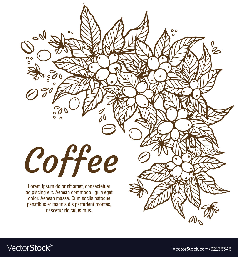 Banner template with branches coffee tree