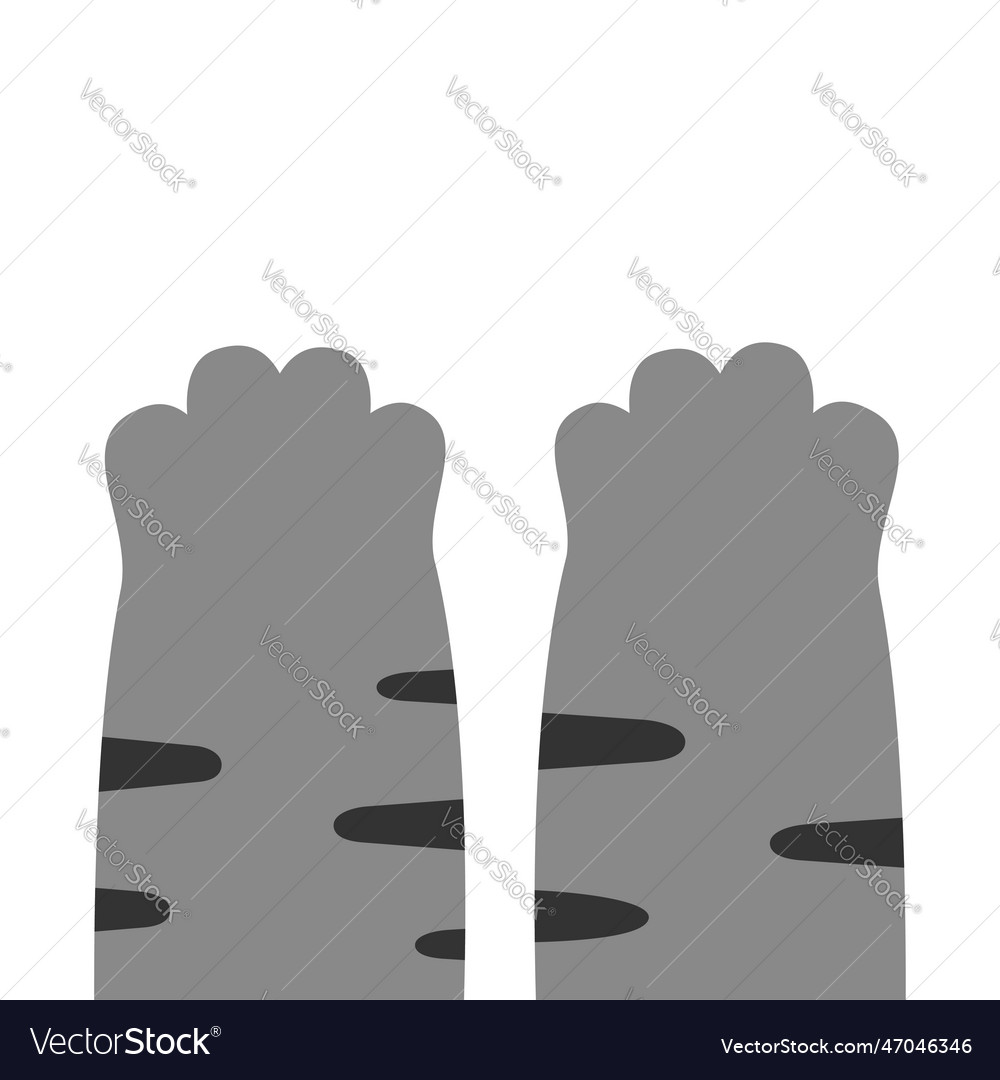 Cat paw set kitten silhouette icon sign symbol