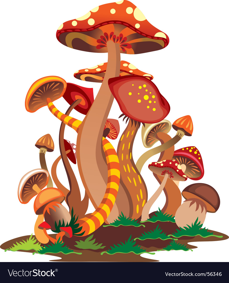 Mushrooms