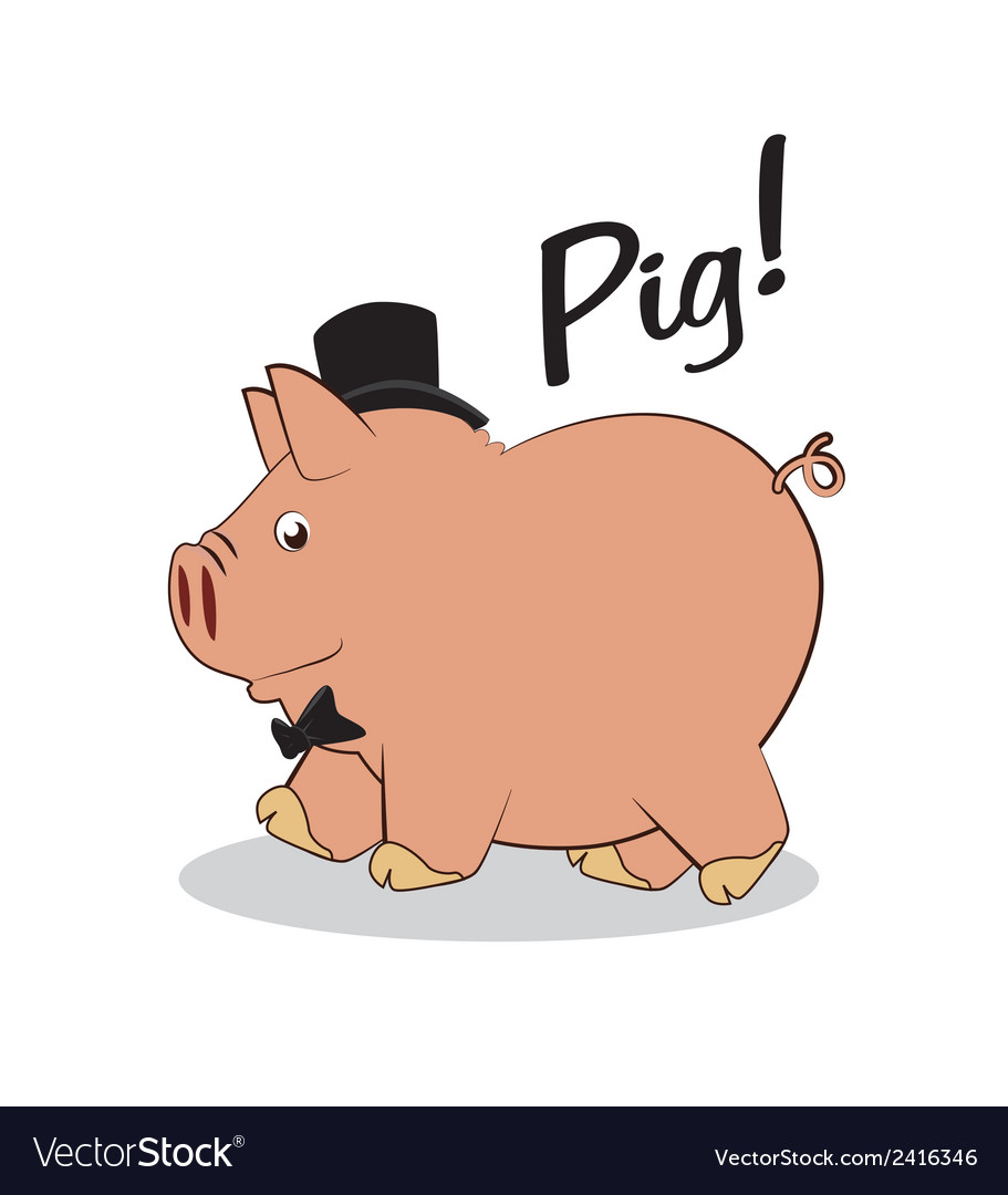 Pig design over white background