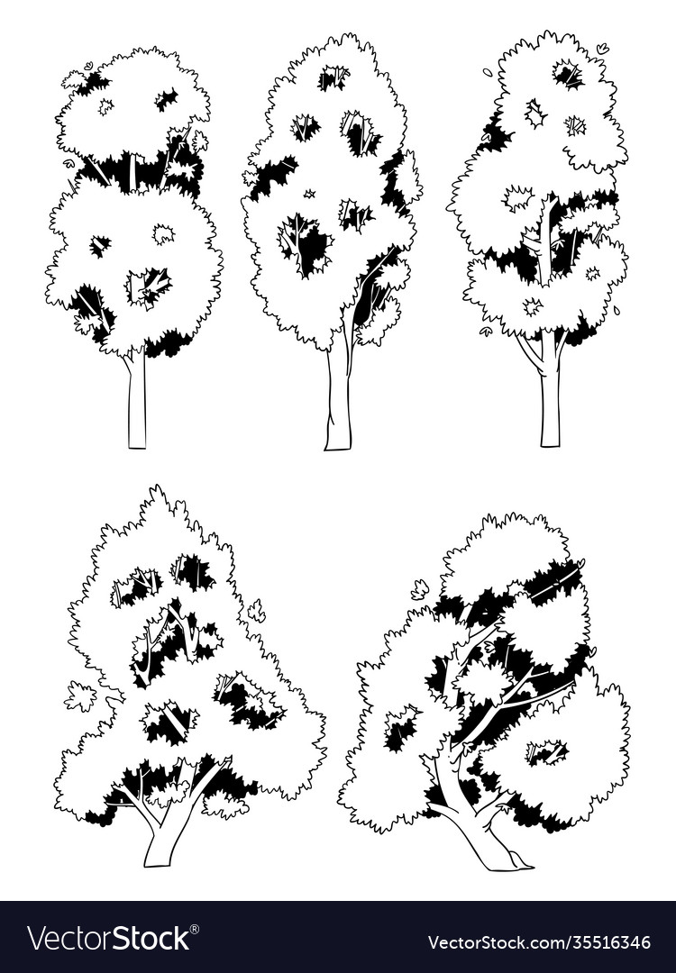 Set side view tree