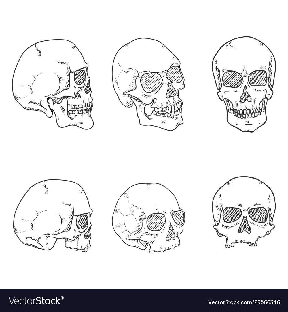 Set sketch human skull headbones collection