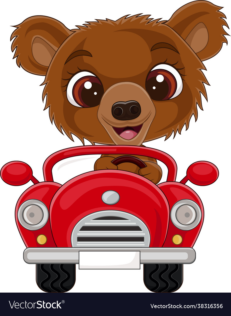 Cute Baby Bear Driving a Red Car