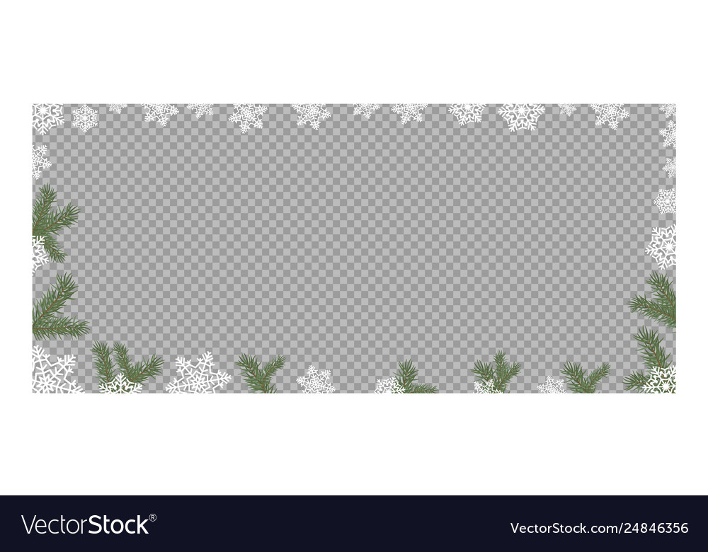 Frame from green fir branches border pattern