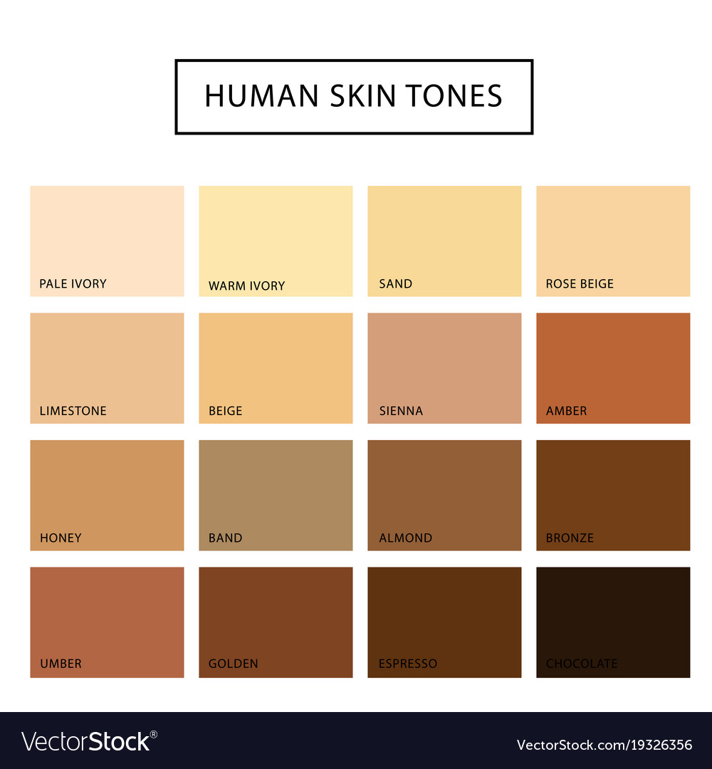 Human Skin Tone Set Royalty Free Vector Image Vectorstock