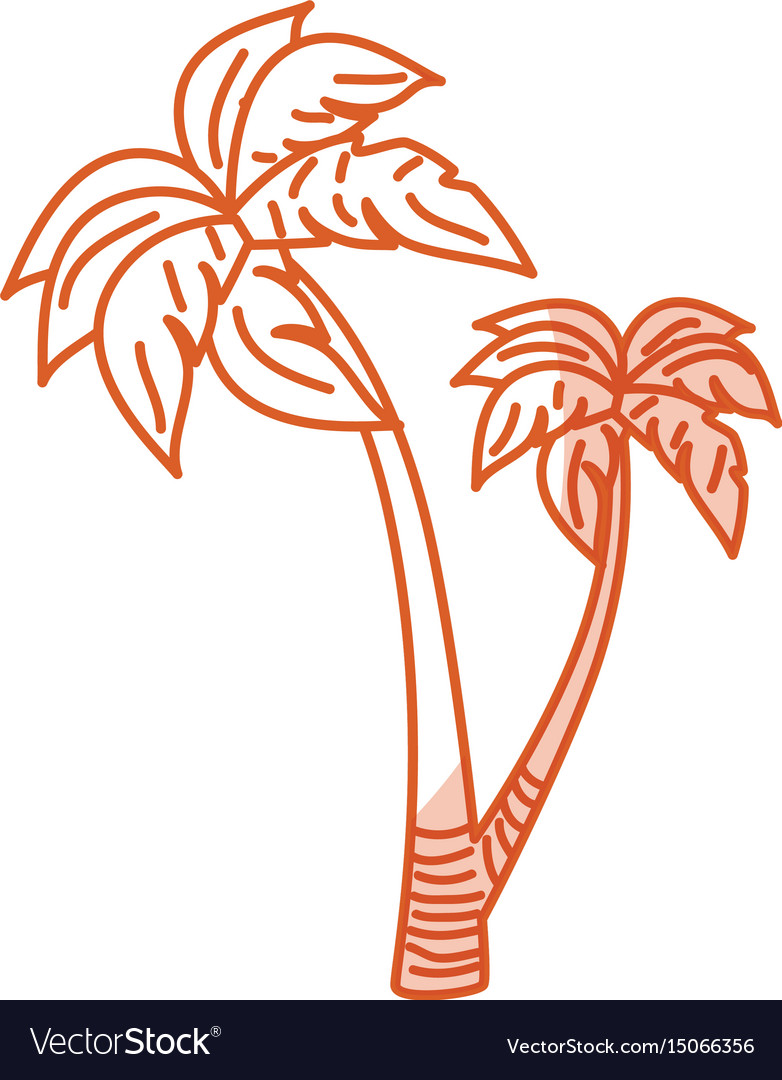 Tree palm beach isolated icon