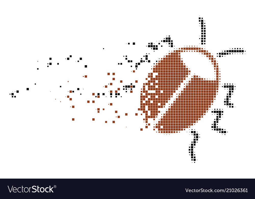 Bug fragmented pixel icon vector image Bug fragmented pixel icon